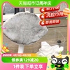 日本迷你小拖把家用洗脸巾平板拖布卫生间，专用懒人墩布一拖净