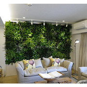 仿真植物墙公司景观摆示门前墙壁挂饰假花假草人造植物墙