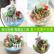 苔藓微景观DIY生态瓶玻璃创意迷你植物礼物办公室桌面盆栽