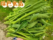 广西桂林霜打甜菜花，菜心绿色蔬菜入肝孕妇，青菜现摘现发