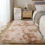可水洗加厚丝毛地毯客厅茶几卧室满铺可爱床边毯榻榻米地垫可定制