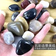 彩色石头雨花石鹅卵石天然石鱼缸造景五小白石子彩卵石鹅软石