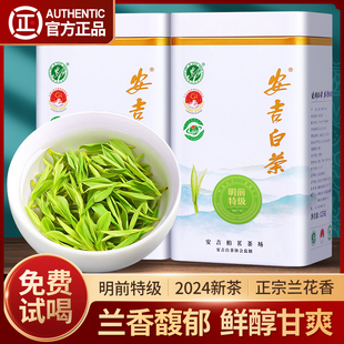 赛八仙安吉白茶2024新茶特级2A明前绿茶散装茶叶礼盒装