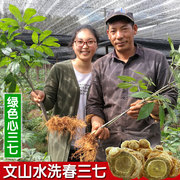 云南文山三七特级18头20头500g中药材非野生三七，花粉片田七粉