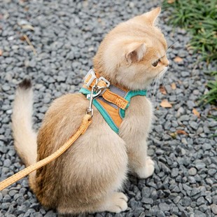 猫咪牵引绳防挣脱外出专用遛猫绳溜猫，链子宠物胸背带猫绳子小型犬