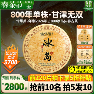 冰岛普洱茶生茶2024新茶春茶，新益号古800单株古树云南七子饼茶叶