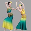 儿童傣族舞蹈演出服女童傣族，孔雀舞包臀鱼尾，裙少儿表演服