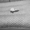 家纺纳米竹炭枕成人护颈枕家用枕芯颈椎枕学生儿童枕头单人