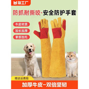 防咬手套防猫狗训狗训犬宠物，加厚洗澡加长款，耐磨耐用手指防护手臂