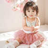 儿童摄影服装2-4岁服装道具周岁拍摄粉色蓬蓬裙影楼女童拍照主题
