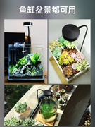 小型鱼缸灯led照明灯迷你简约创意生态瓶水草，植物雨林造景支架灯