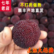 台州一级仙居杨梅当季新鲜水果临海东魁大杨梅6斤现摘