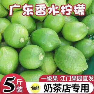 广东香水柠檬一级果青柠檬5斤装新鲜无籽柠檬奶茶店专用水果