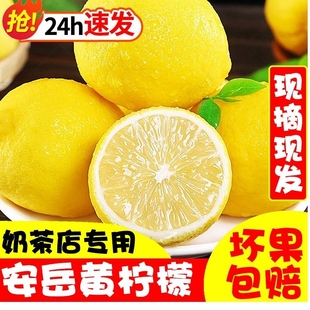 四川安岳黄柠檬(黄柠檬)5斤新鲜水果，一级果当季现摘榨汁皮薄多汁整箱9