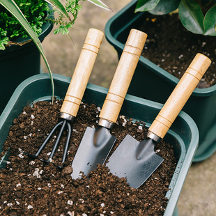 种花工具小铲子园艺种菜专用花铲挖土松土神器养花家用栽花盆栽铲