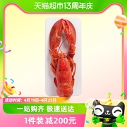 喵满分熟冻波士顿龙虾2只装(400-450g只)即食大龙虾海鲜水产