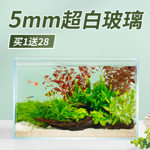超白鱼缸玻璃桌面客厅生态斗鱼金鱼乌龟缸造景懒人养鱼水草免换水