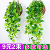 仿真植物壁挂假花藤条藤蔓绿植墙面客厅室内绿萝吊兰装饰挂墙吊篮