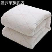 学生宿舍棉被芯冬被十斤一米八乘两米床垫套宿舍冬天床垫棉被单人