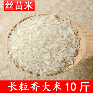 不好吃包退 长粒香新大米10斤农家自产丝苗米不抛光5kg籼米