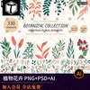 清新时尚简约手绘植物叶子花朵花卉图案AI矢量设计PSD素材PNG免扣
