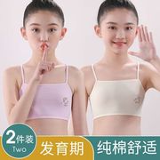 女童内衣发育期小学生8-12-16岁女孩中学生纯棉防凸点儿童小背心
