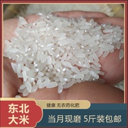 大米正宗东北农家，自产现磨活水稻花香江水米煮粥米饭新米
