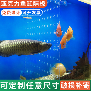 亚克力鱼缸内隔离网客厅鱼缸盖板透明水族箱挡鱼隔板分离板防跳网