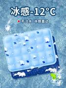 夏季冰垫坐垫凉垫汽车水垫降温宠物冰凉垫子免注水凝胶学生水床垫