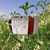 鲜蜂堂新采黄芪蜂蜜中华土蜂采集天然纯正净重500克每瓶