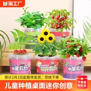 儿童种植小盆栽桌面迷你植物花卉向日葵草莓种子太阳花蔬菜籽阳台
