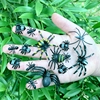 仿真蜘蛛蚂蚁套装黑色花，迷你幼儿园儿童，玩具静态昆虫塑胶动物模型