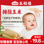 云南西双版纳新鲜小拇指玉米婴儿，宝宝儿童早餐，真空装香糯手指玉米