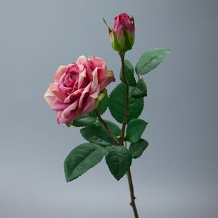 6支装 奥斯丁湿感玫瑰花仿真花束假花欧式装饰绢花客厅餐桌室内