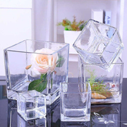 透明玻璃方缸水培瓶正方形水培玻璃瓶，透明花瓶铜钱草水培花盆花槽