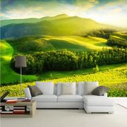 电视背景墙壁纸客厅沙发，现代简约清新田园绿色草地，风景z画墙纸壁
