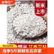当季新圆糯米5斤新鲜东北农家自产食用包粽子专用白江米(白江米)