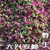 新货大兴安岭野生玫瑰花茶刺玫果花茶tian然野生非特级无硫