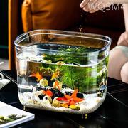 鱼缸客厅小型桌面小鱼缸家用水族箱生态塑料金鱼缸水草乌龟缸