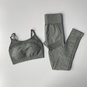 bra背心式健身套装，女两件套外贸，运动聚拢文胸速干跑步瑜伽裤
