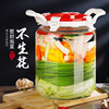 泡菜坛子家用腌菜罐子玻璃加厚密封大号腌制瓶子四川咸菜罐酸菜缸