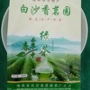 碎茶 海南特产茶叶2024年生产白沙绿茶香茗园碎茶茶萃中400g
