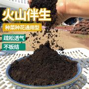 云南腐叶土松针腐殖营养，土100斤绿植多肉，花卉种菜种植培养土