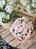 大花福禄考花朵有淡淡的香味超仙开花植物多年生阳台花园耐寒