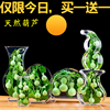 葫芦摆件天然保鲜葫芦工艺品摆件，创意客厅装饰家居招财镇宅用