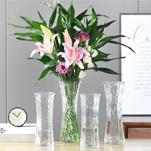 玻璃花瓶透明水养富贵竹百合，花瓶摆件客厅插花干花北欧家用特大号