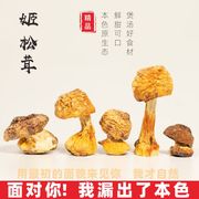姬松茸特级干货新鲜云南特产野生松茸菌巴西菇蘑菇菌菇炖煲汤