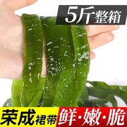 5斤新鲜裙带梗菜海白菜梗(白菜梗)盐渍海裙菜凉拌非干货商用咸菜整箱海带