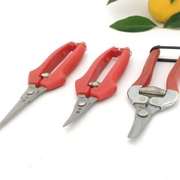 园艺用品摘桔子剪，采果剪翘头弯头西红柿番茄橘子，采摘剪工具水