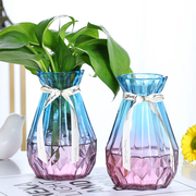 创意渐变玻璃花瓶水培植物绿萝花瓶小干花风信子观音竹插花瓶摆件